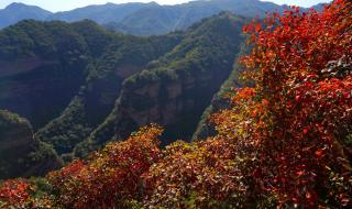 中原一卡通 中原一卡通