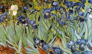 我不是老二 我不是老二