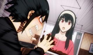 金装的维尔梅第四集