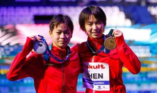 男子10米台跳水决赛